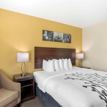 Sleep Inn North - Central ยอร์ค ภายนอก รูปภาพ